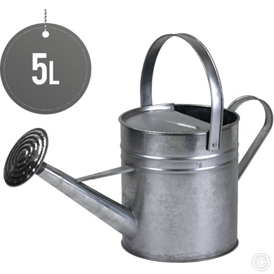 Galvanise Watering Can 5L image
