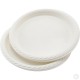 Recyclable Plastic Plates 9'' 12pack image