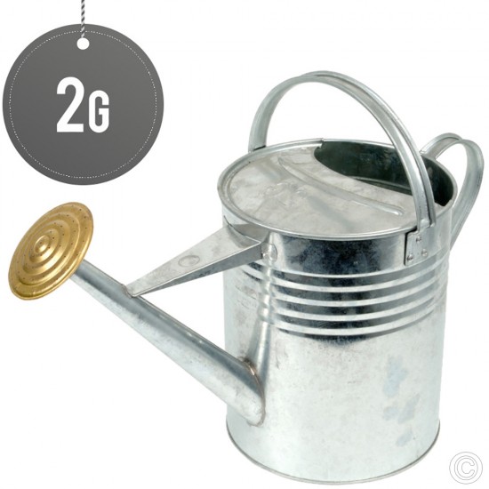 Galvanised Watering Can 2G (10L) image