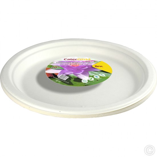 Biodegradeable Bagasse Plates Recyclable 10