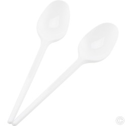 Reusable Plastic Spoons 60pack White