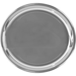 Stainless Steel  Dinner Plate 25cm
