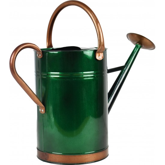 Green Watering Can 2G (9L)