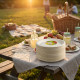 Biodegradeable Bagasse Plates Recyclable 7 image
