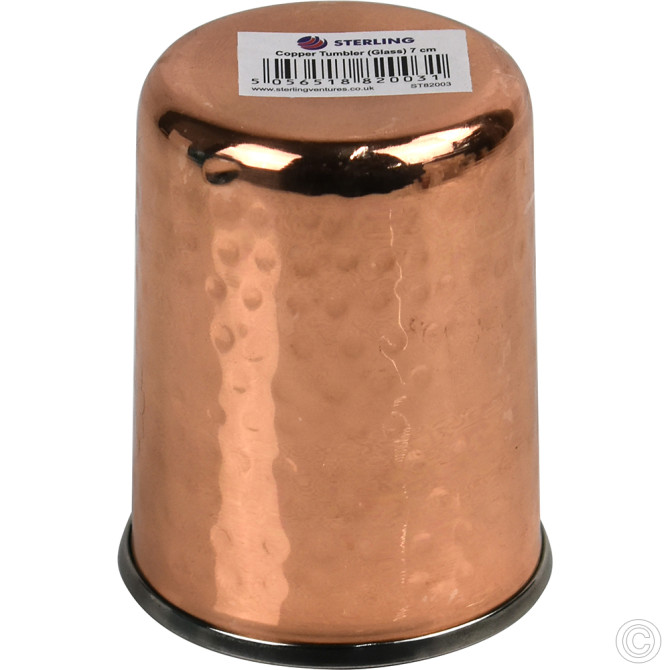 Copper Steel Tumbler (Glass) image