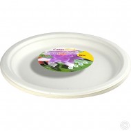 Biodegradeable Bagasse Plates Recyclable 10" 8pk