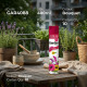 Scented Air Freshener 400ml Bouquet CLEANING PRODUCTS image