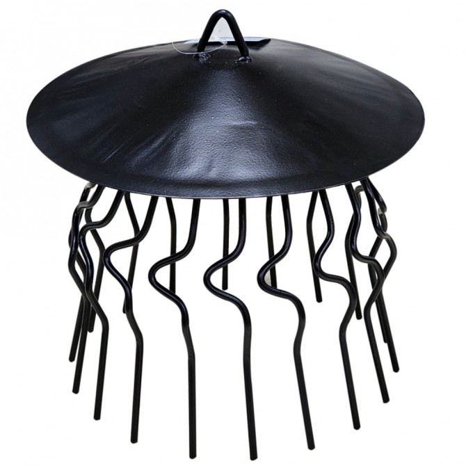 Crow Guard With Plane Cover 13