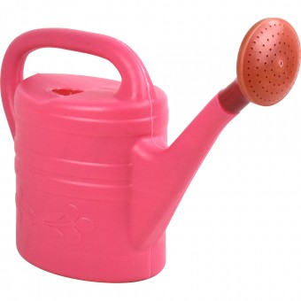Plastic Watering Can Indoor Outdoor with Removable Sprinker 2G