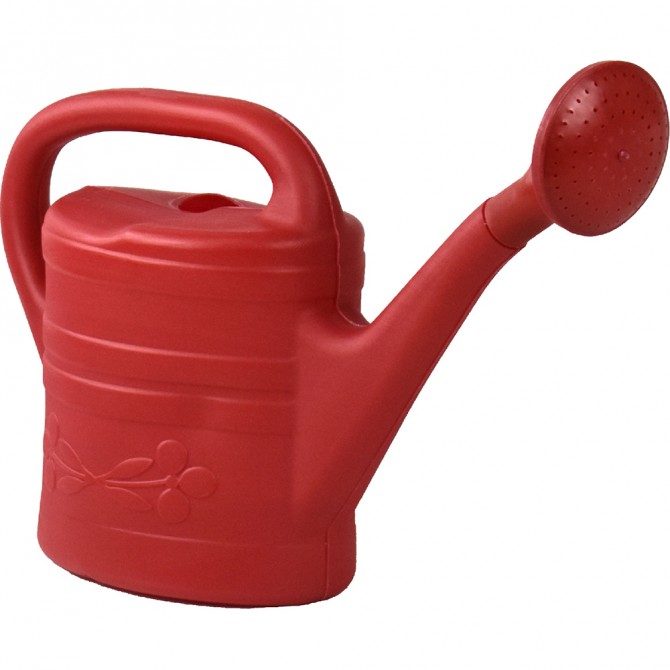 Plastic Watering Can Indoor Outdoor with Removable Sprinker 2G GARDEN ACCESSORIES image