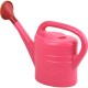 Plastic Watering Can Indoor Outdoor with Removable Sprinker 2G GARDEN ACCESSORIES image