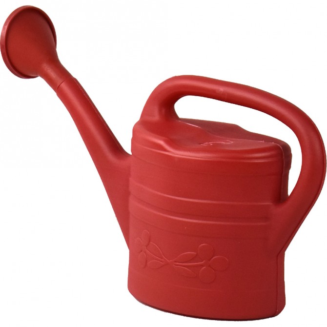 Plastic Watering Can Indoor Outdoor with Removable Sprinker 2G GARDEN ACCESSORIES image
