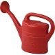 Plastic Watering Can Indoor Outdoor with Removable Sprinker 2G GARDEN ACCESSORIES image