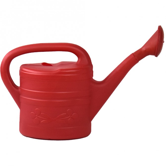 Plastic Watering Can Indoor Outdoor with Removable Sprinker 2G GARDEN ACCESSORIES image