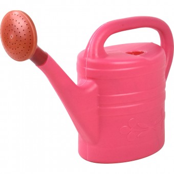 Plastic Watering Can Indoor Outdoor with Removable Sprinkler 5L