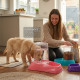 Automatic Pet Water & Feeding Dispenser 3L PETS image